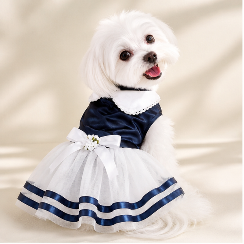 Coastal Princess Dog Dress