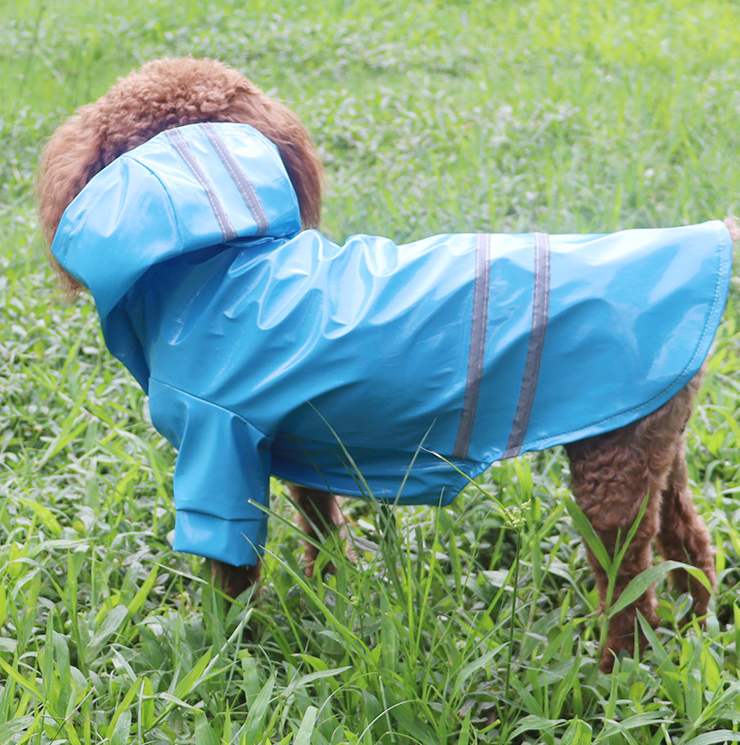 Rain Dash Raincoat