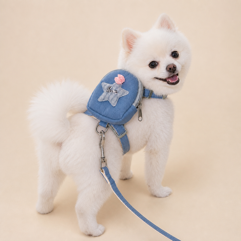 Trail Ready Dog Harness and Leash Set