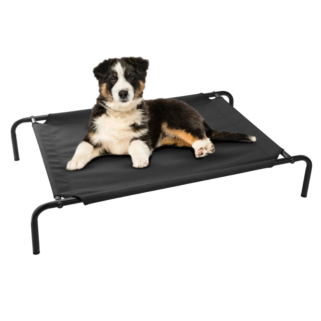 Elevated Pet Bed Dogs Cot