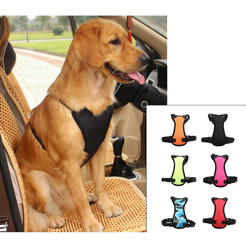 Safe Ride Car Harness
