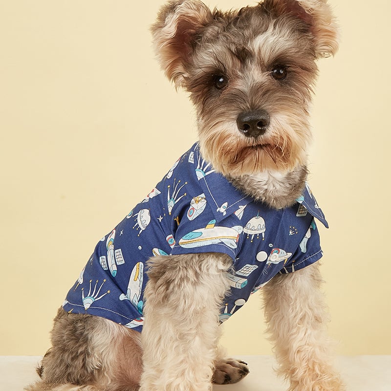 Sunday Best Shirt