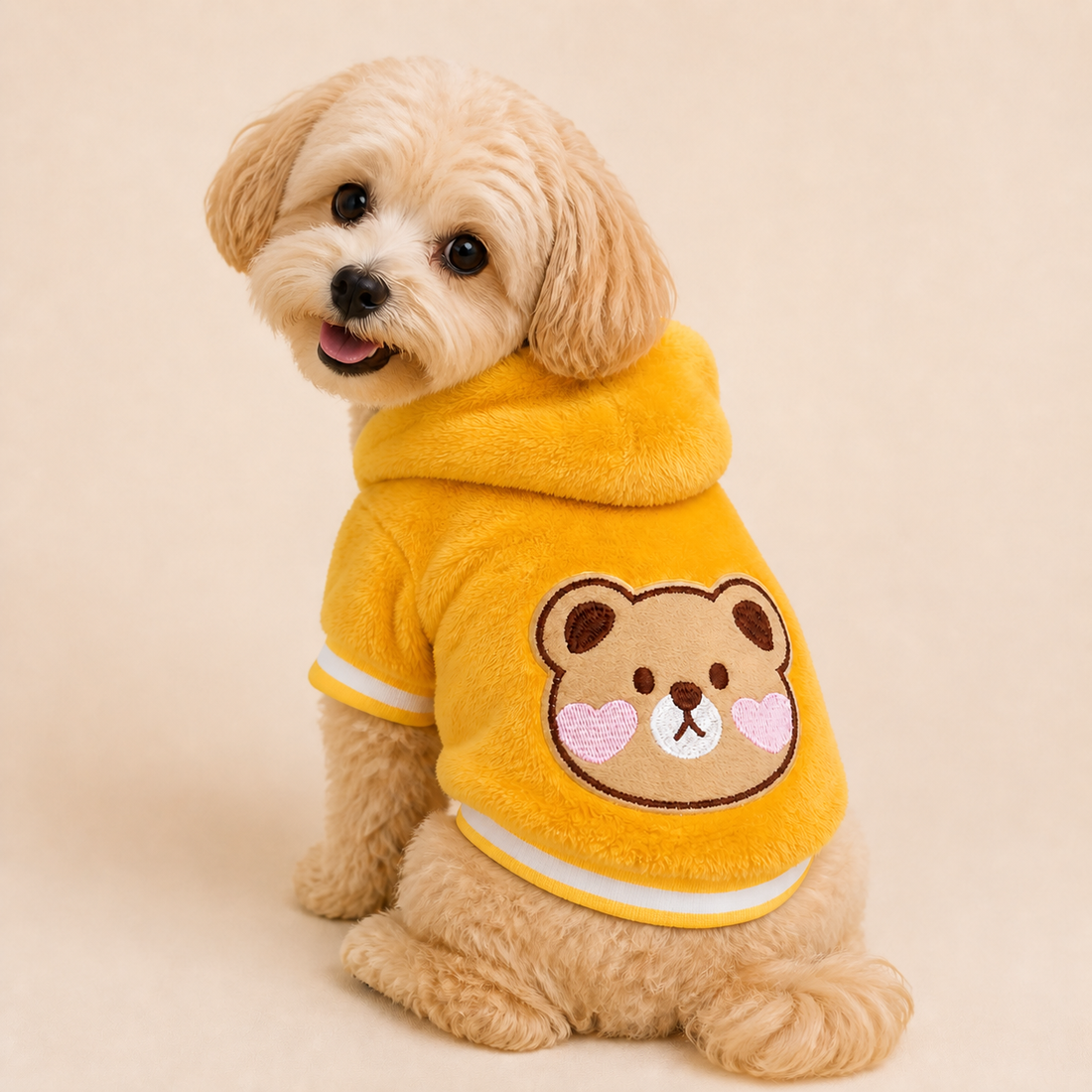 Carrot Cuddle Coat — happy studio cover