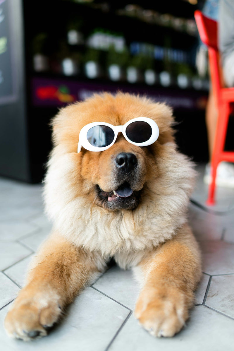 Unscented Pet Grooming Wipes