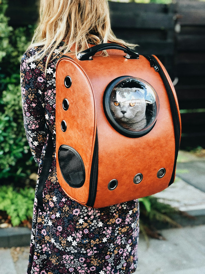 Ventilated Backpack Carrier