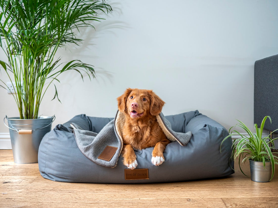 Washable Waterproof Crate Mat