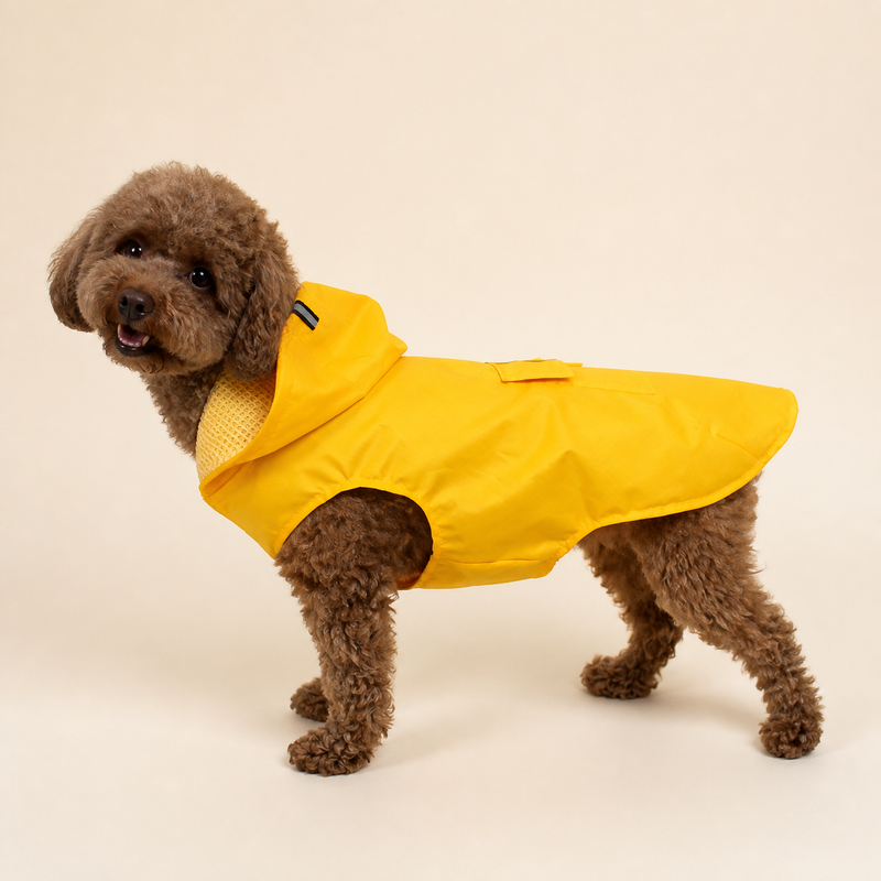 Puddle Glow Reflective Dog Raincoat