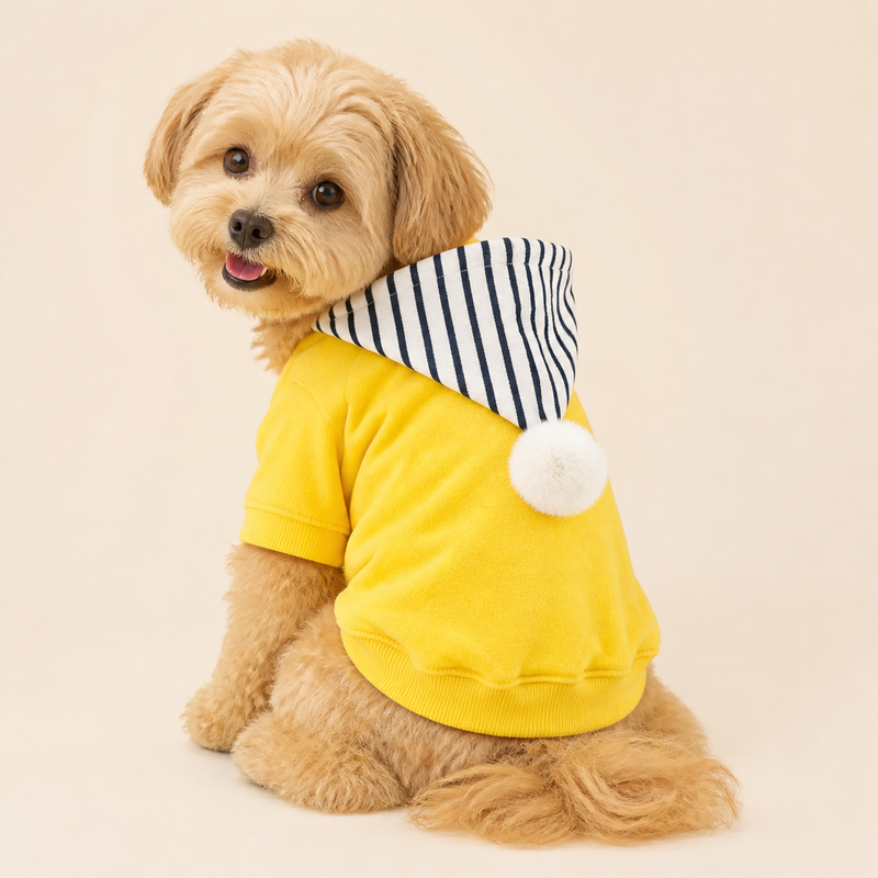 Snug Meadow Cotton Dog Sweater